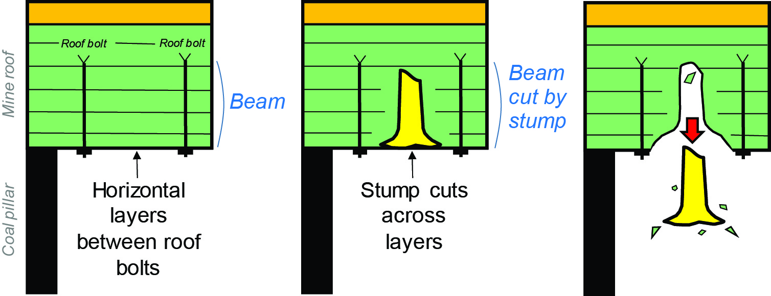 Fossil trees cut across horizontal layering, so are not held in the roof by typical beam building.